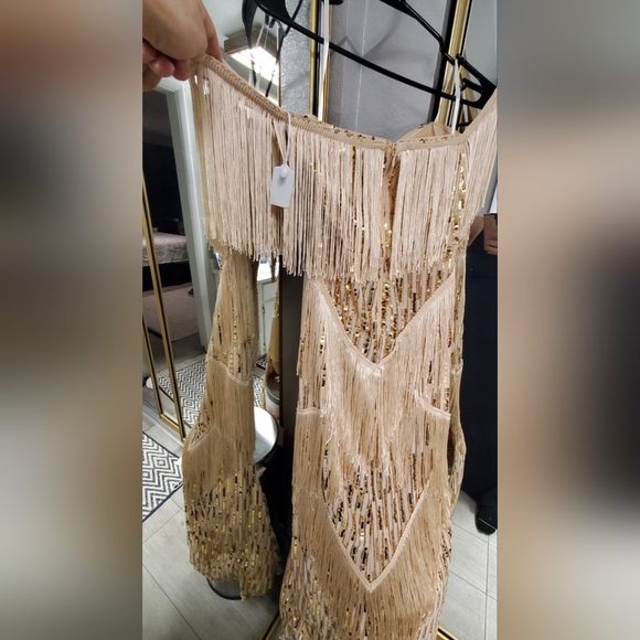 Elegant Beige Fringe Gown - Picture 5 of 11